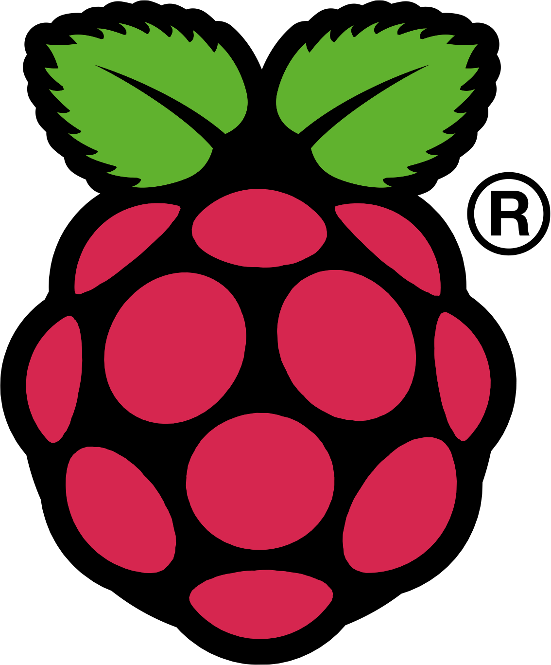Logo-raspberry